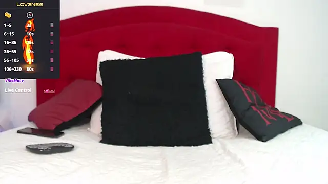 Snapshot of Rouss_Meyers chatting on 19, 3, 2025 Rouss Meyers online show from 19, 3, 2025