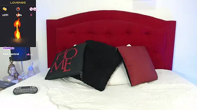 Snapshot of Rouss_Meyers chatting on 26, 2, 2025 Rouss Meyers online show from 26, 2, 2025