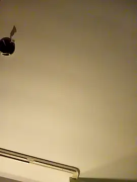 Snapshot of NiceHunter89 chatting on 26, 1, 2025 NiceHunter89 online show from 26, 1, 2025