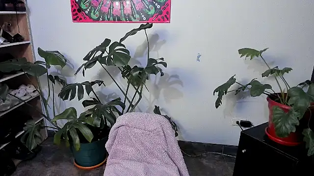 handipandapok online show from 17, 3, 2025