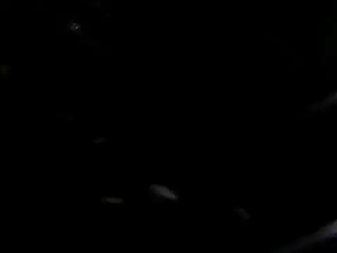 giga-bite online show from 10, 10, 2025