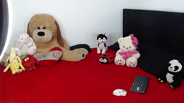 Snapshot of crss_2020 chatting on 21, 2, 2026 crss 2020 online show from 21, 2, 2026