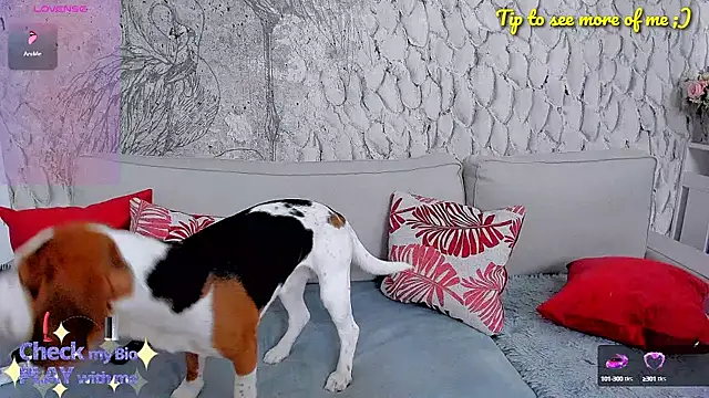  MarryGirl  online show from 10, 1, 2025