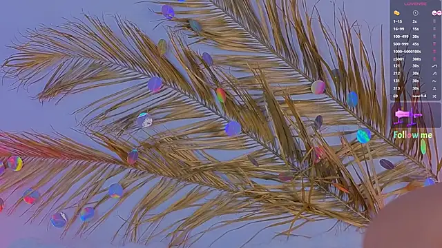 a11yson online show from 11, 3, 2025