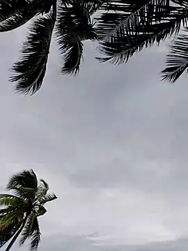 Luna-Natural online show from 29, 11, 2025