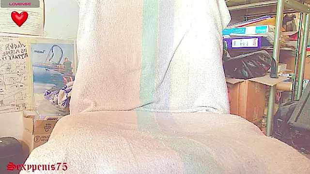 sexypenis75 online show from 12, 1, 2026