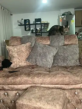 samanthaa  online show from 24, 9, 2025