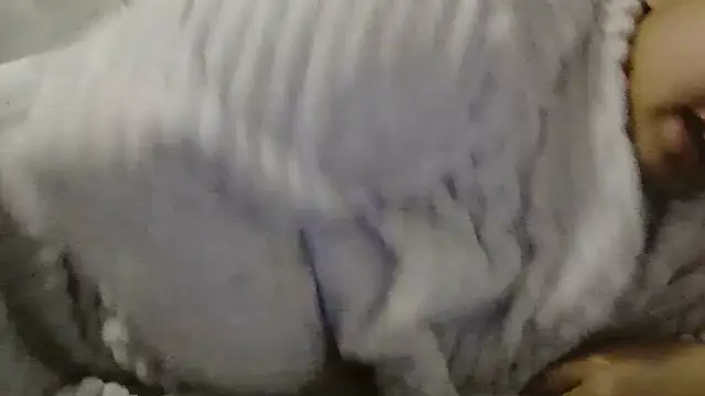 beautylovess online show from 4, 4, 2026