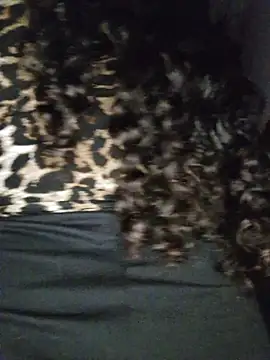 blerstefan1 online show from 3, 11, 2025