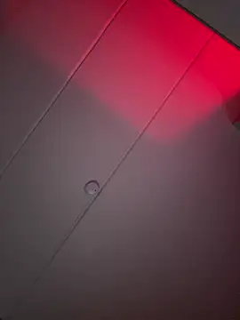 Amanita Bloom online show from 16, 1, 2026