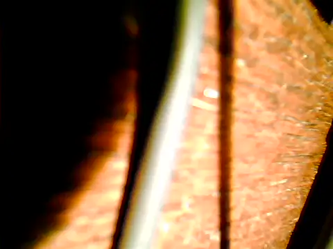 johnjohn622662 online show from 12, 11, 2025