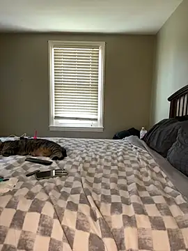 jaseyrae online show from 31, 3, 2026