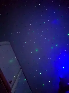 sofiabichota online show from 6, 12, 2024