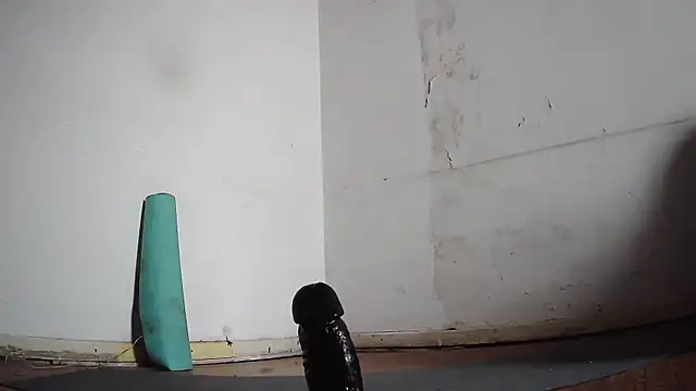 seoulsatxh online show from 8, 2, 2025