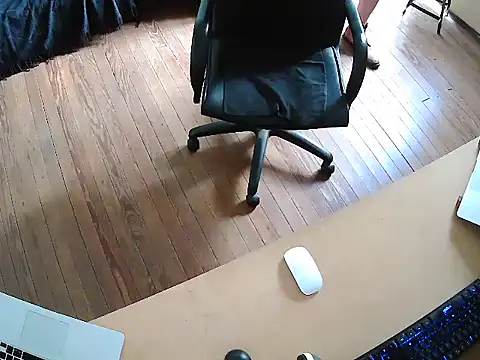 seoulsatxh online show from 17, 11, 2025