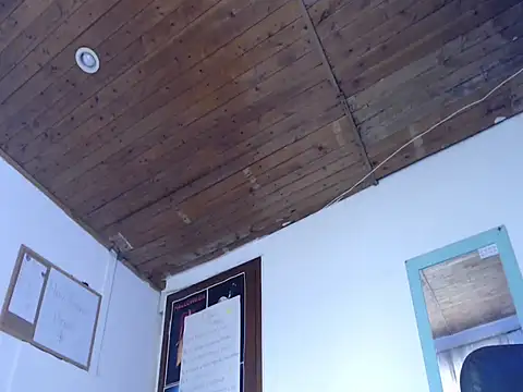 alisterxxx online show from 25, 3, 2026