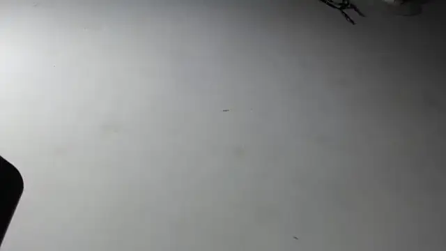 adrixxx38 online show from 18, 1, 2026