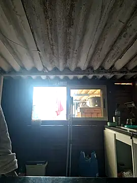 Snapshot of mila38 chatting on 18, 11, 2025 mila38 online show from 18, 11, 2025