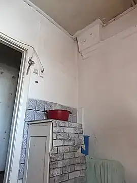 Cerd Ayaz online show from 24, 3, 2026