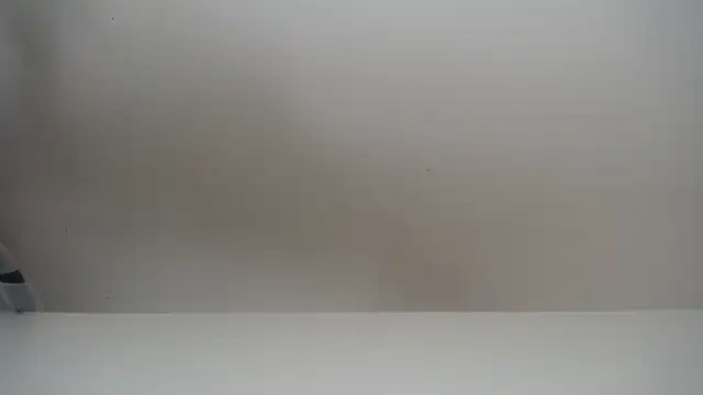 salomecastro  online show from 19, 11, 2025