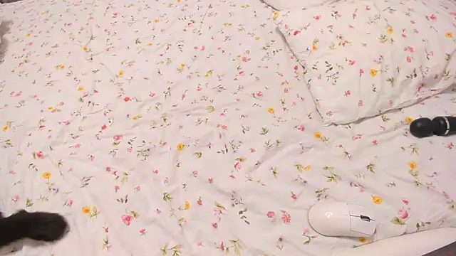 Eziliz online show from 12, 9, 2025