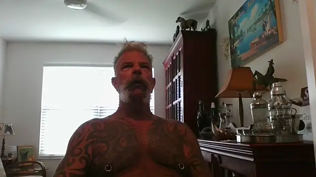 njdbear online show from 30, 9, 2025