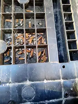 Ethangay online show from 9, 4, 2026