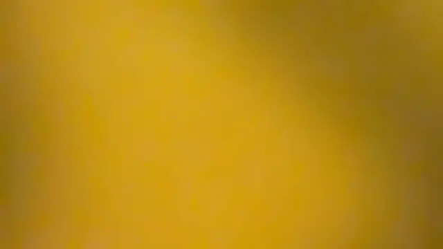 fmodel online show from 3, 1, 2025