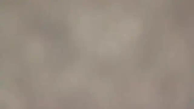 fmodel online show from 11, 9, 2025