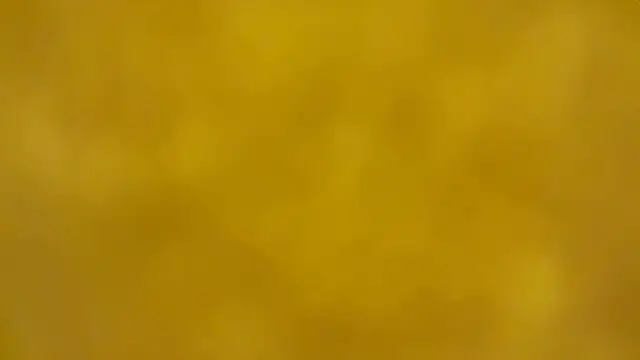 fmodel online show from 16, 12, 2025