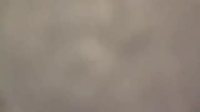 fmodel online show from 15, 9, 2025