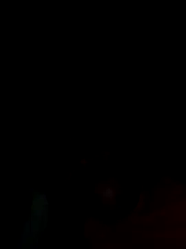 Creamesensation online show from 12, 10, 2025