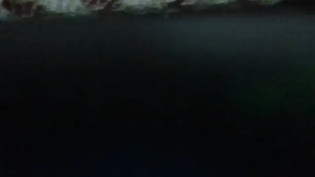 Leo Big online show from 23, 9, 2025