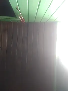 Snapshot of Alvaro2017 chatting on 22, 2, 2026 Alvaro2017 online show from 22, 2, 2026