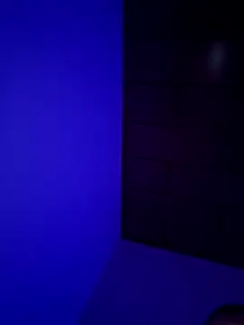 Snapshot of Pavelbure77 chatting on 15, 2, 2026 Pavelbure77 online show from 15, 2, 2026