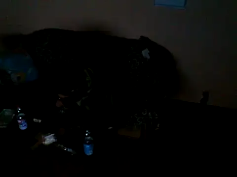 Snapshot of ZDRAVKICH chatting on 23, 12, 2024 ZDRAVKICH online show from 23, 12, 2024