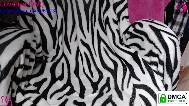 sweet cute cat online show from 13, 1, 2026