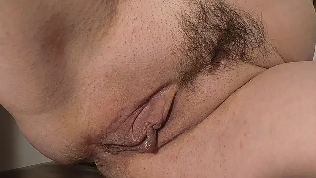 Xollan  online show from 16, 3, 2026