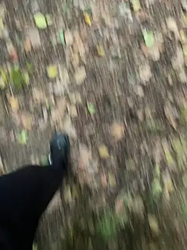 Snapshot of bestofsex99 chatting on 5, 10, 2025 bestofsex99 online show from 5, 10, 2025