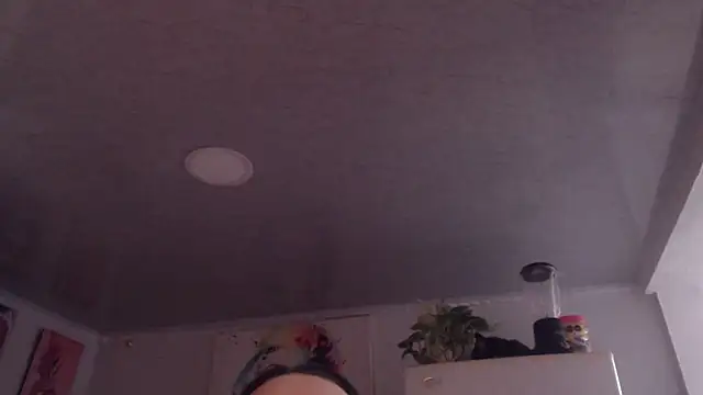 GABY FOX TS online show from 25, 6, 2026