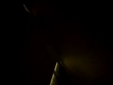 tropikboy online show from 10, 3, 2025