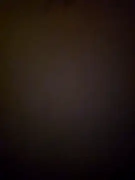 tropikboy online show from 19, 3, 2025