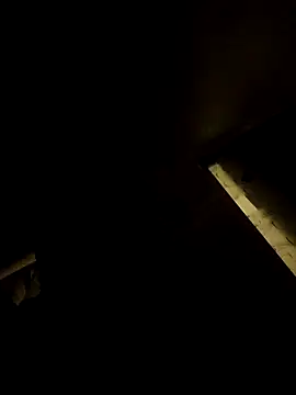 tropikboy online show from 5, 3, 2026