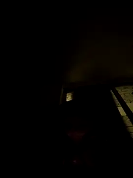 tropikboy online show from 8, 11, 2025