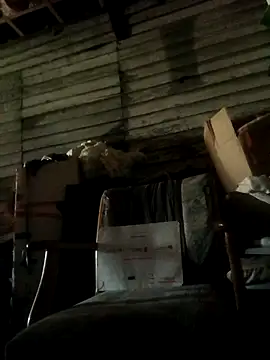 FUNINWV9 online show from 5, 12, 2025