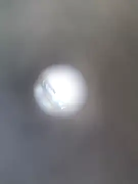 Vickyrajput009 online show from 16, 9, 2025