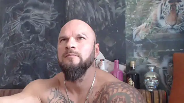 viking 30 online show from 6, 11, 2025