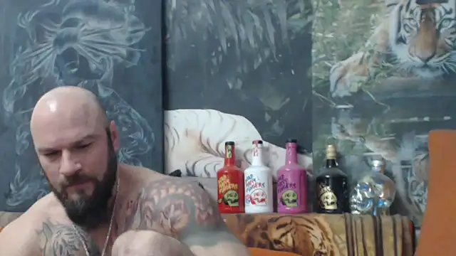 viking 30 online show from 2, 12, 2025