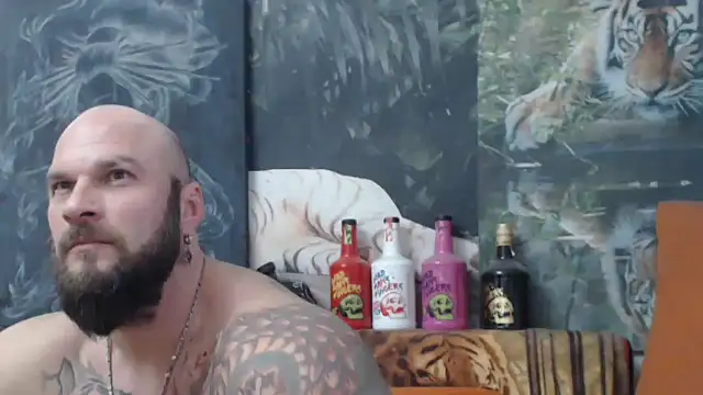 viking 30 online show from 1, 12, 2025