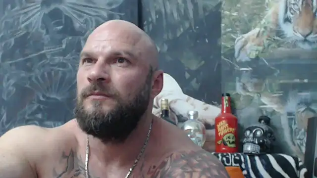viking 30 online show from 11, 6, 2026